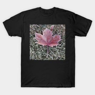 Frosted autumn leaf T-Shirt